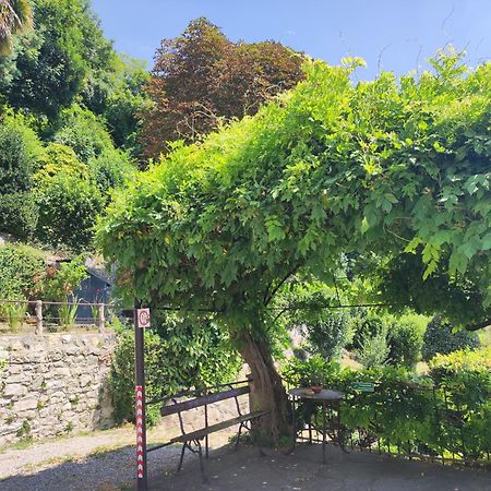 Villa Antonella, App. Vittoria Tavernerio المظهر الخارجي الصورة