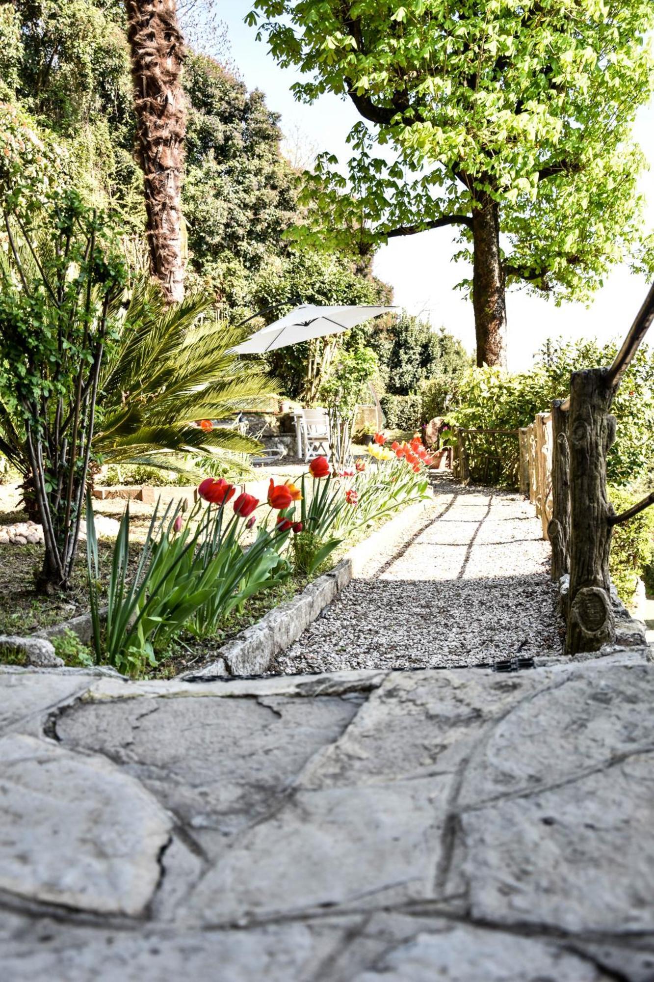 Villa Antonella, App. Vittoria Tavernerio المظهر الخارجي الصورة